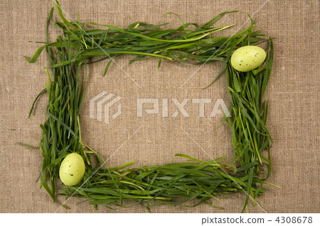 Grass frame with eggs 4308678