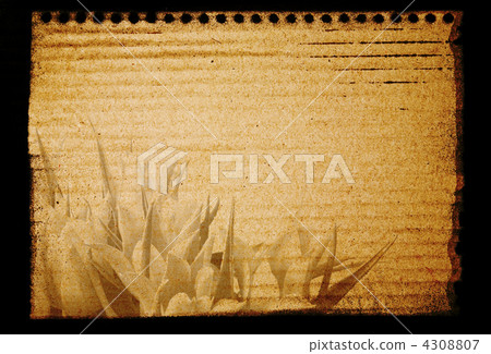 Old Style Notepad with Flowers 4308807