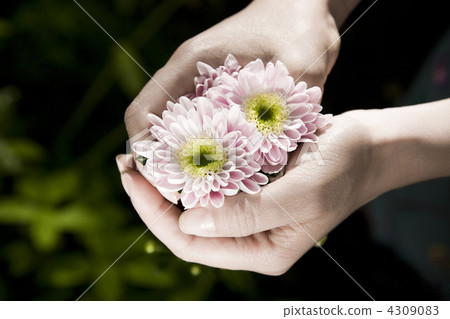 Hand With Flowers 4309083