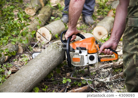 Chainsaw In Action Chainsaw In Action 4309093