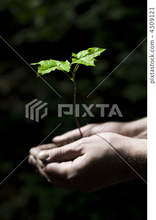 Life In Hands 4309121