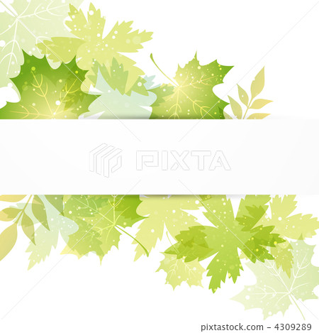 矢量圖 葉子 葉 4309289
