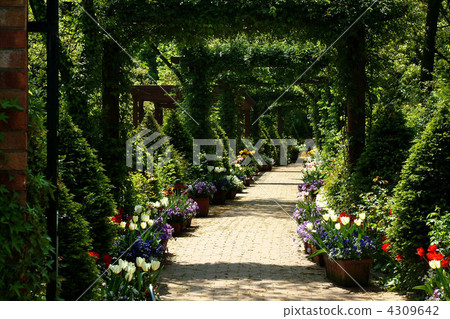 英式花園 外部 園藝 4309642
