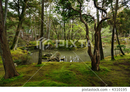 西條寺（青苔寺） 4310195