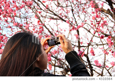 Camera girls taking flowers 4310364