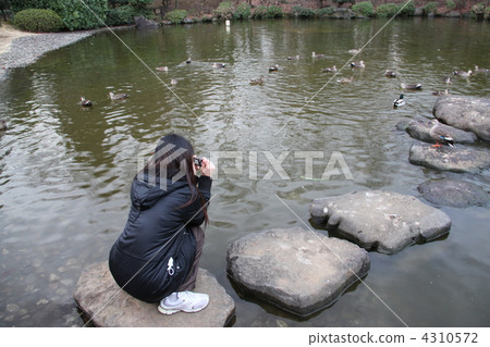 Camera girls 4310572