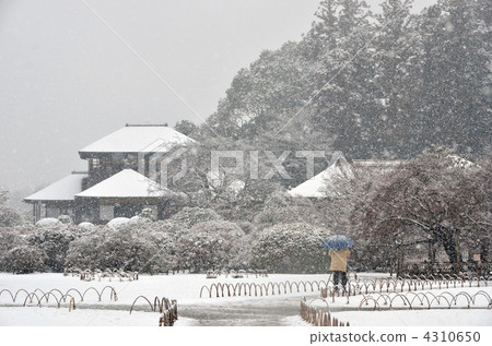 Snow Kairakuen 4310650