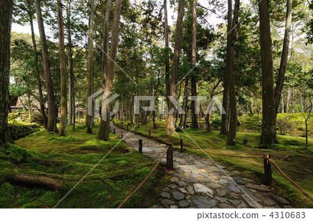 Saijoji Temple (Moss Temple) 4310683