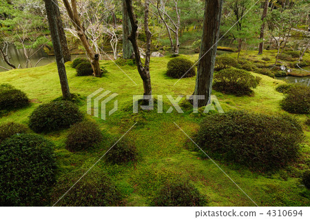 Saijoji Temple (Moss Temple) 4310694