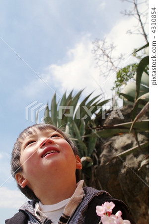 Agave and child 4310854