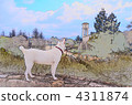 A landscape with a white dog 4311874