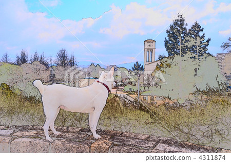 A landscape with a white dog 4311874