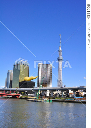 Sky tree  4311906