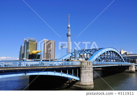 Sky tree  4311911