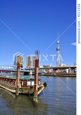 Sky tree  4311916