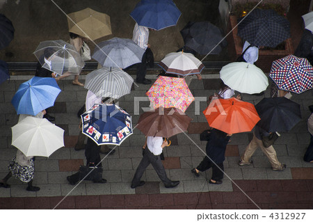 umbrella, brolly, rainy season 4312927