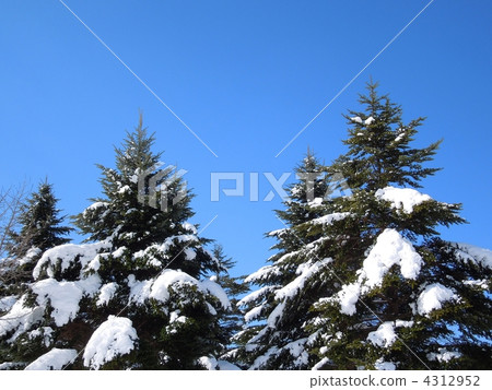 Remaining snow 4312952