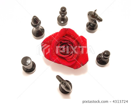 Rose and chess 4313724