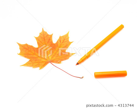 Color felt-tip pens and leave Color felt-tip pens and leave 4313744