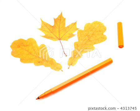 Color felt-tip pens and leave Color felt-tip pens and leave 4313745