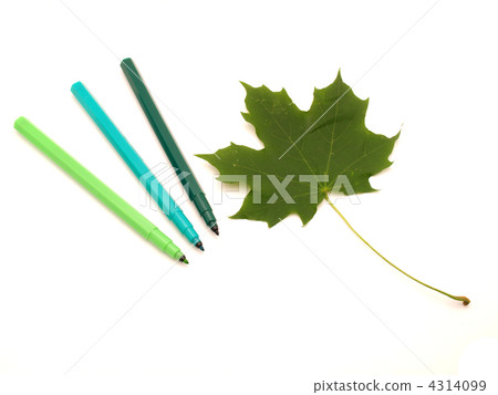 Color felt-tip pens and leave Color felt-tip pens and leave 4314099