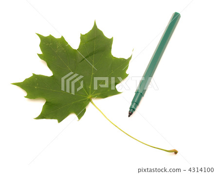 Color felt-tip pens and leave Color felt-tip pens and leave 4314100