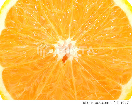 Orange Orange 4315022