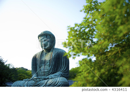 鎌倉大佛寺 4316411