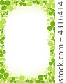 Clover  4316414