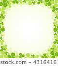 Clover  4316416