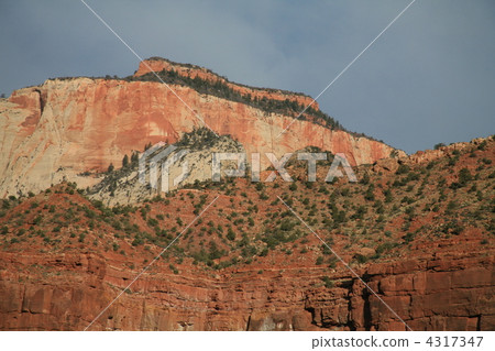  Rocky mountain 4317347