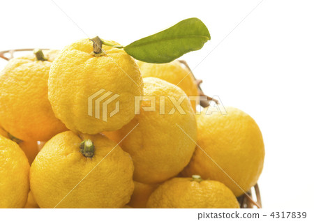 Citron  4317839