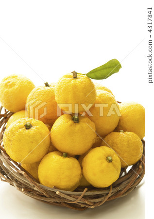 Citron Citron 4317841