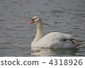 Swan 4318926