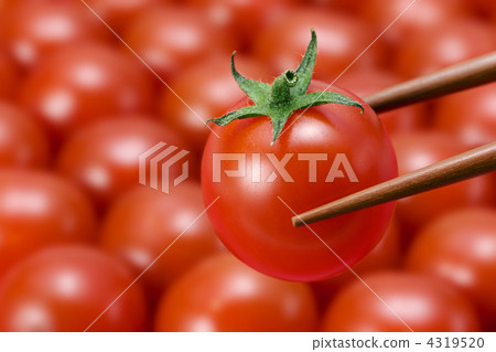 Petit tomatoes Petit tomatoes 4319520