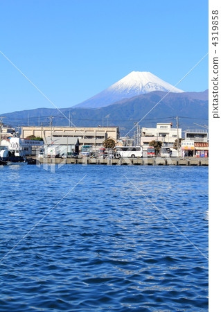 沼津港和富士山 4319858