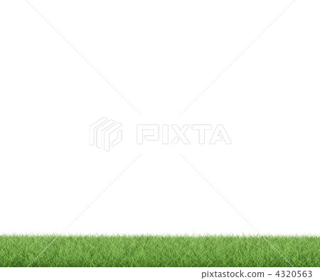 grassland, meadow, sward 4320563