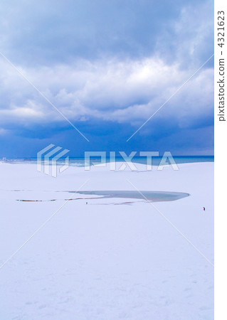 雪鳥取沙丘 雪鳥取沙丘 4321623