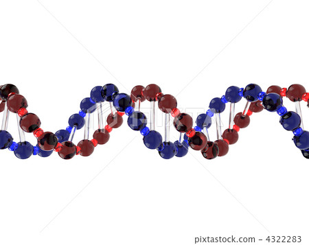 DNA model image - Stock Illustration [4322283] - PIXTA