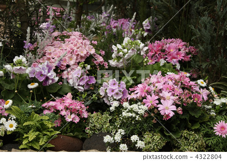 flower bed  4322804