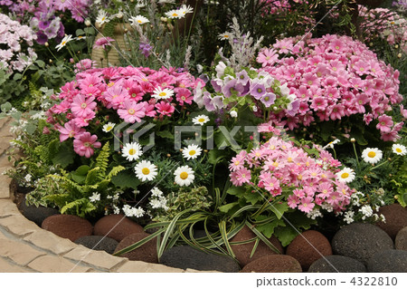 花壇 4322810