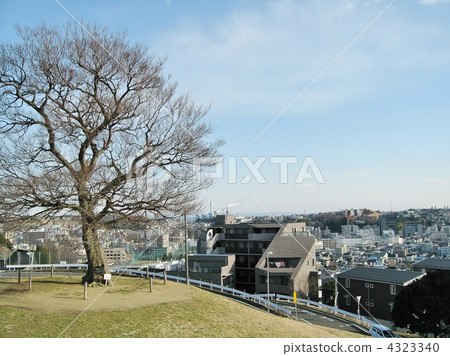 Shimizuigaoka Park 4323340