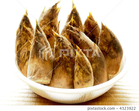 竹筍 竹筍 4323922