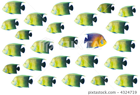 Going different way 4324719