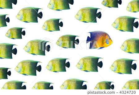 Going different way Going different way 4324720