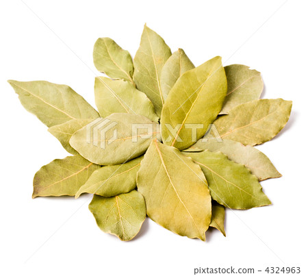 Pile of bay leaves isolated 4324963