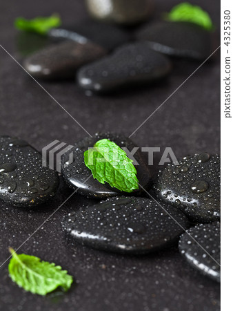 Nature concept 4325380