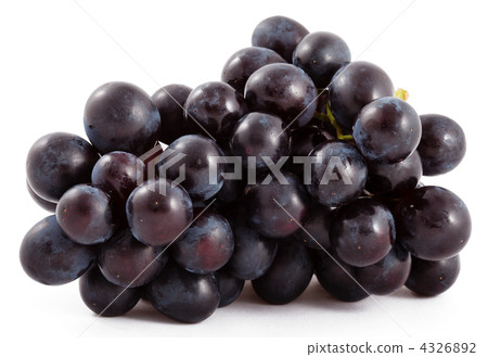 Bunch of black grapes isolated Bunch of black grapes isolated 4326892