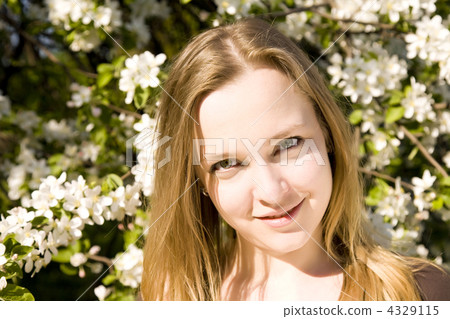 Spring Spring 4329115