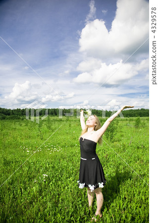 Summer Dreams 4329578